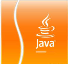 Java 1